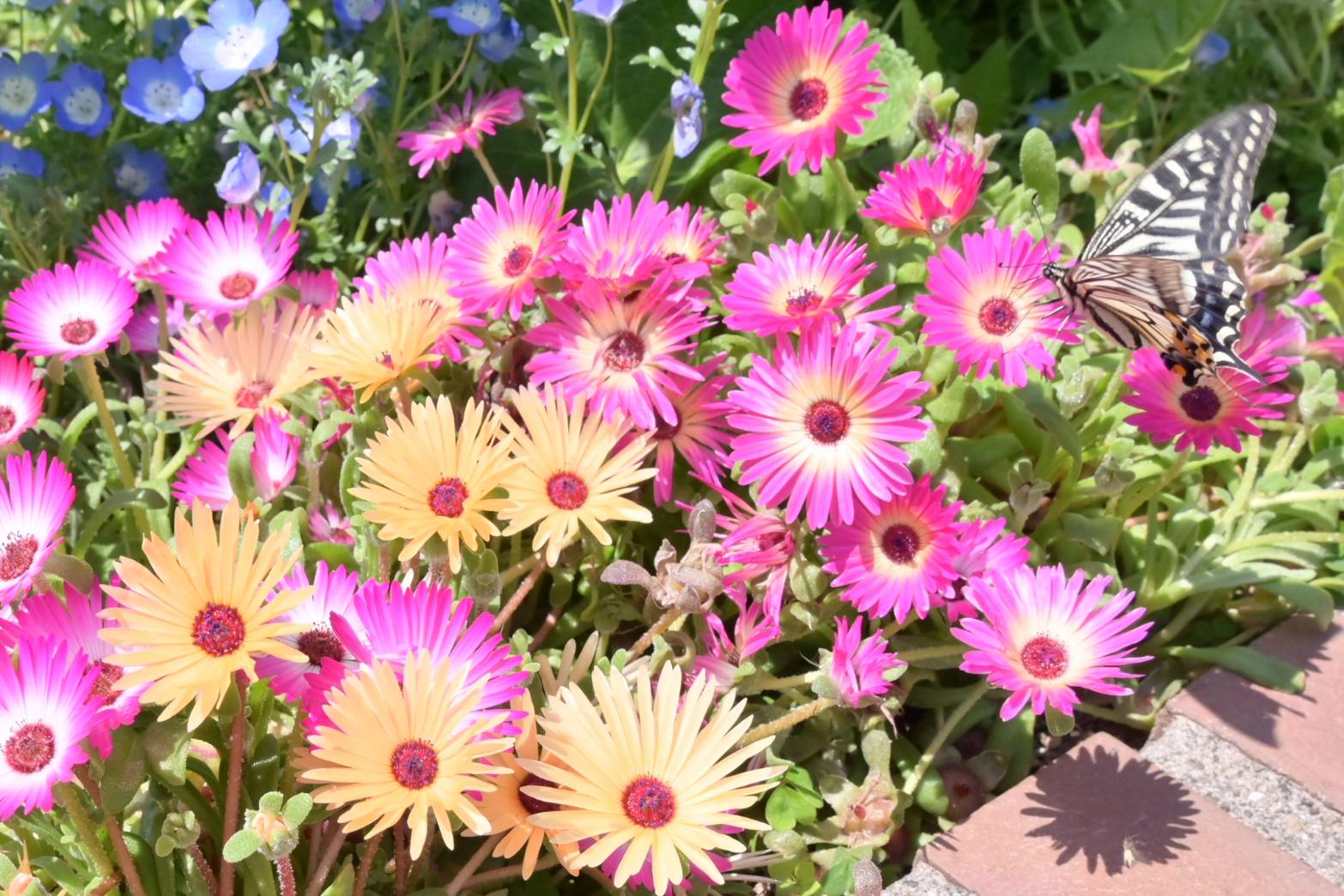 メインビジュアル