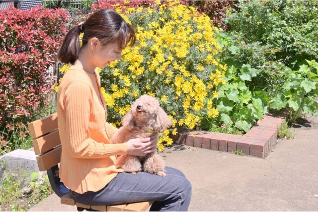 ベンチで犬とお話しをしているオーナーの画像